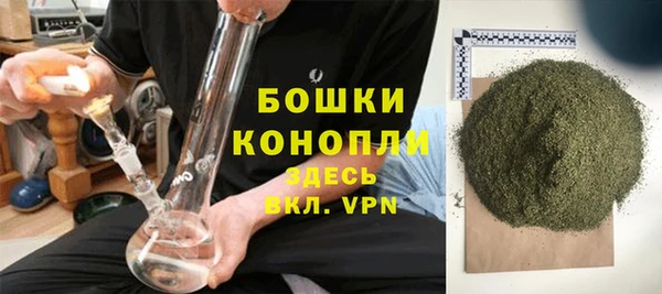 гидра Рославль