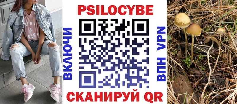 даркнет состав  Лахденпохья  Псилоцибиновые грибы мицелий 